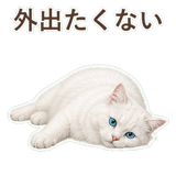 852705791