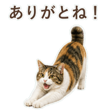852705793
