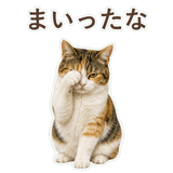 852705795