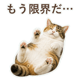 852705797