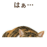 852705802