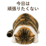 852705806
