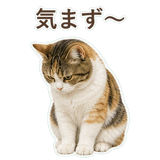 852705808