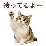 852705811