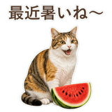 852705814