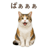 852705818