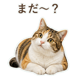 852705820
