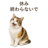 852705825