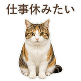 852705826