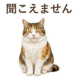 852705827
