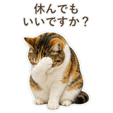 852705829