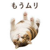 852705830