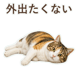 852705831