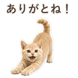 852706033