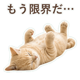 852706037