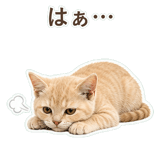 852706042