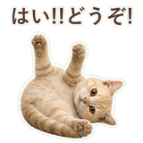 852706045