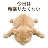 852706046