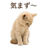 852706048
