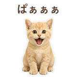 852706058