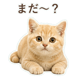 852706060