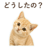 852706062