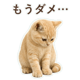 852706068