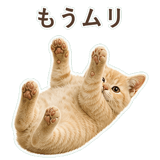 852706070