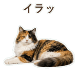 852706074