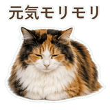 852706076