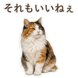 852706081
