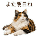 852706084
