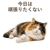 852706086