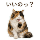 852706087