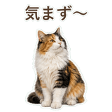 852706088