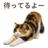 852706091