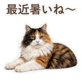 852706094