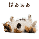 852706098