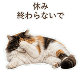 852706105