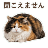 852706107