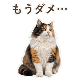 852706108