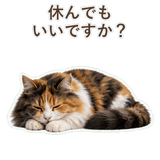 852706109