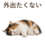 852706111