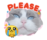 852706275