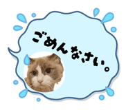 852706295
