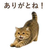 852706345