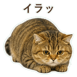852706346