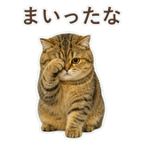 852706347