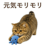 852706348