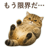852706349